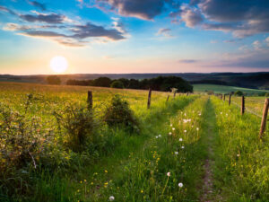 Eifelreise – Natur und Kultur 2026