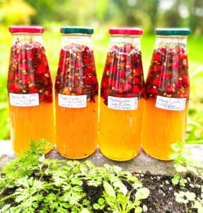 Wildkräuterwerkstatt Kräuterjahr im Glas in Krefeld